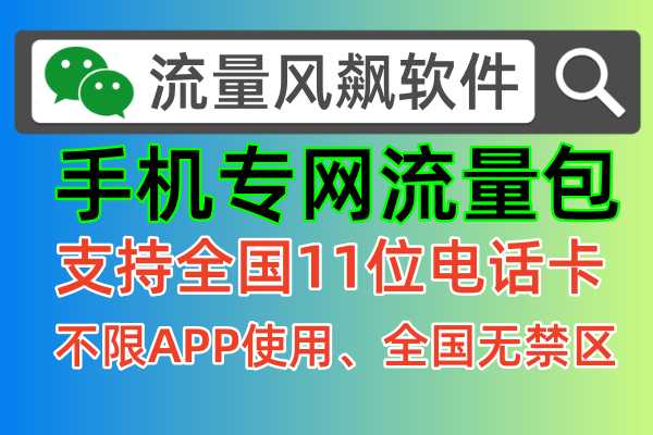 手机专网流量包是什么意思，为您百科解答